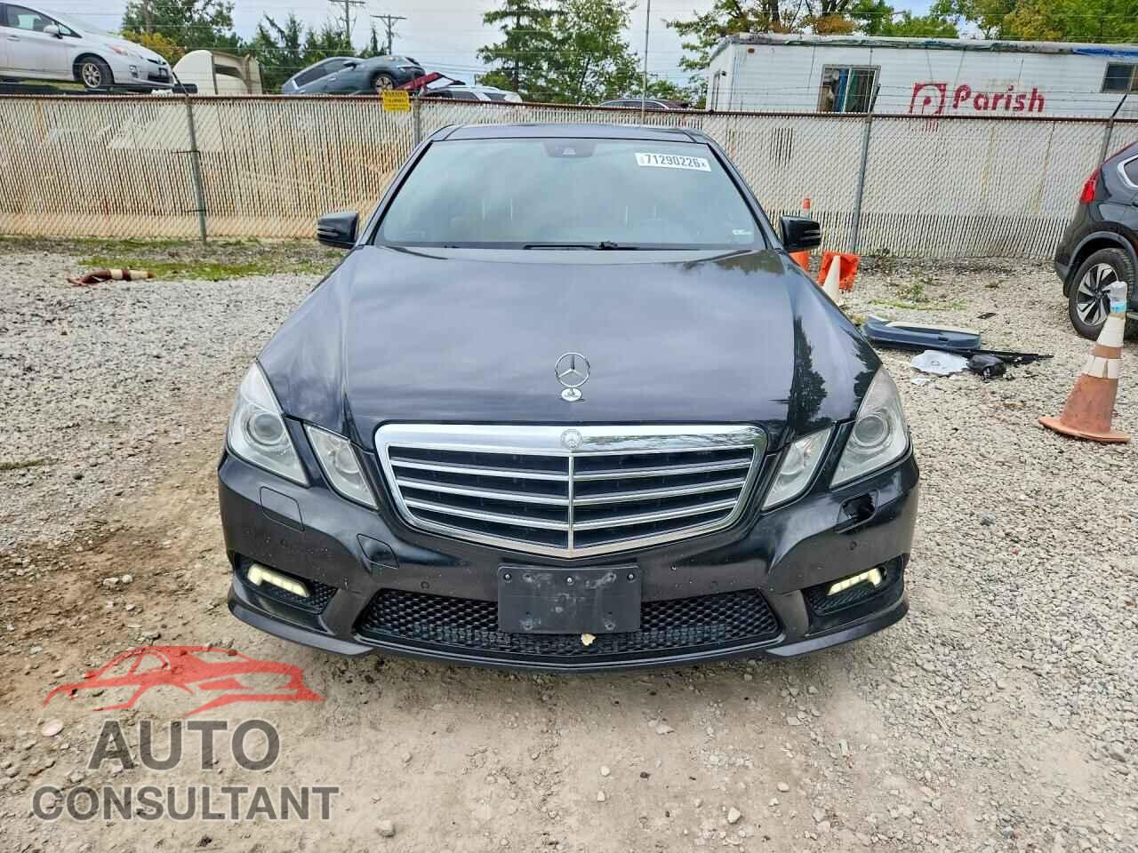 MERCEDES-BENZ E-CLASS 2010 - WDDHF8HB0AA217099