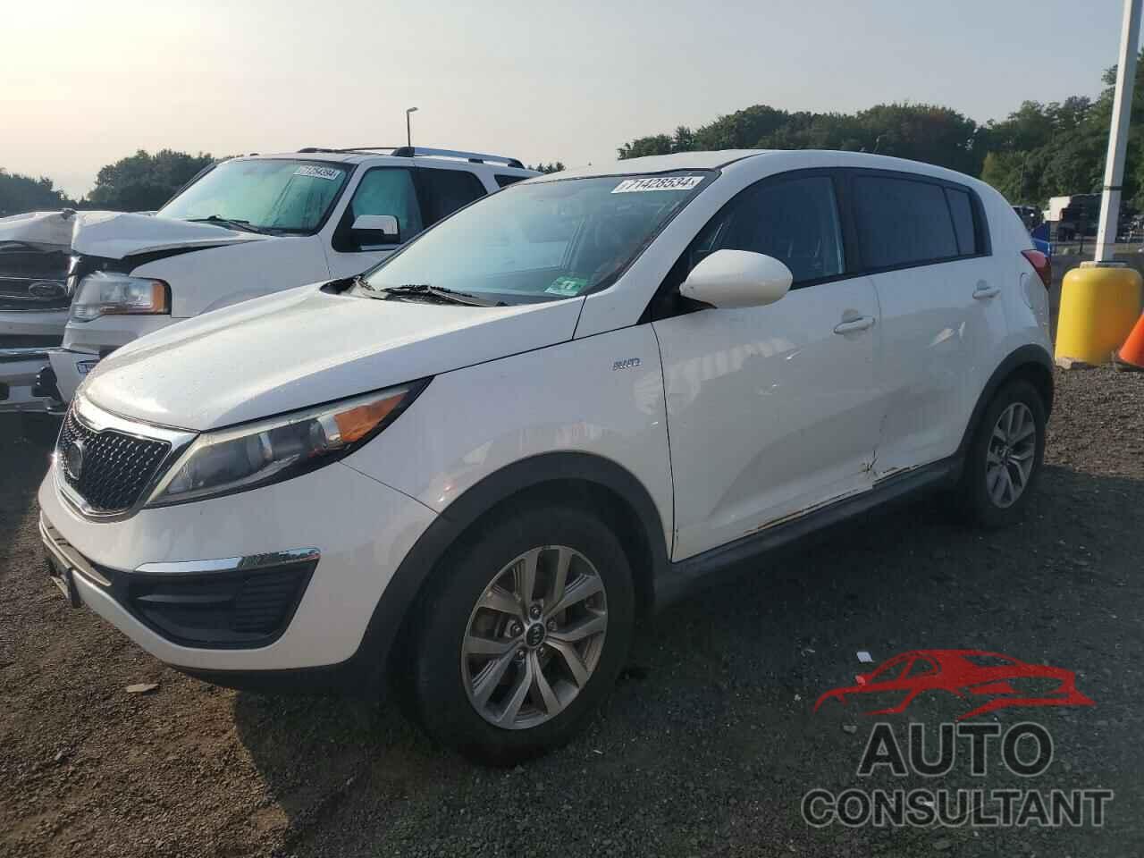 KIA SPORTAGE 2016 - KNDPBCAC1G7803579