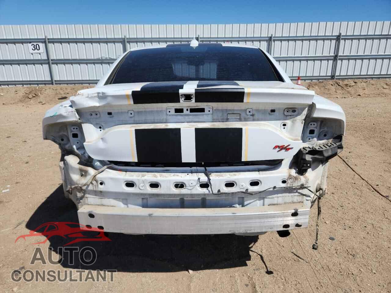 DODGE CHARGER 2015 - 2C3CDXCT3FH817228