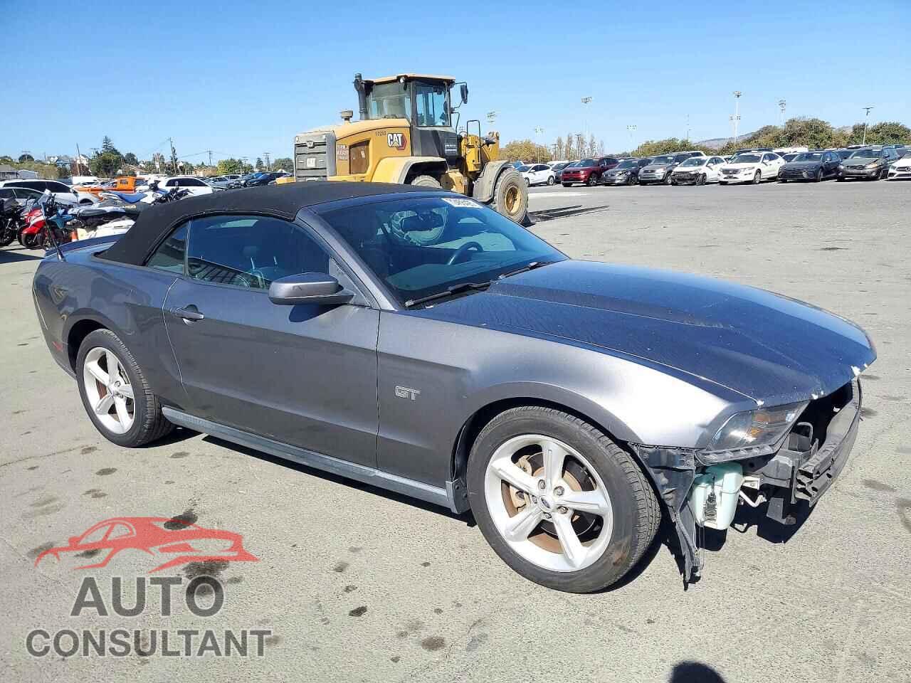FORD MUSTANG 2010 - 1ZVBP8FH4A5146905