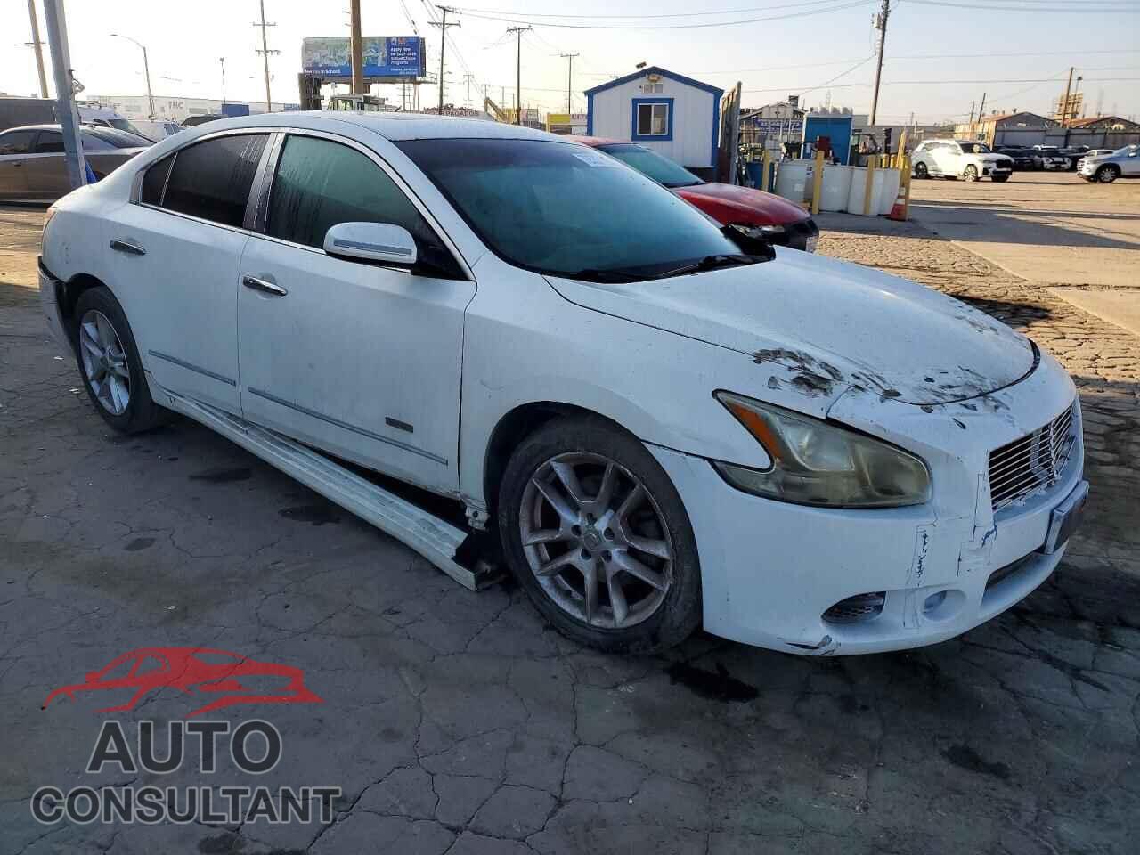 NISSAN MAXIMA 2009 - 1N4AA51E19C816905