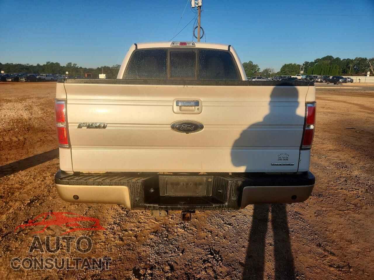 FORD F150 2011 - 1FTFW1CF6BFA03676