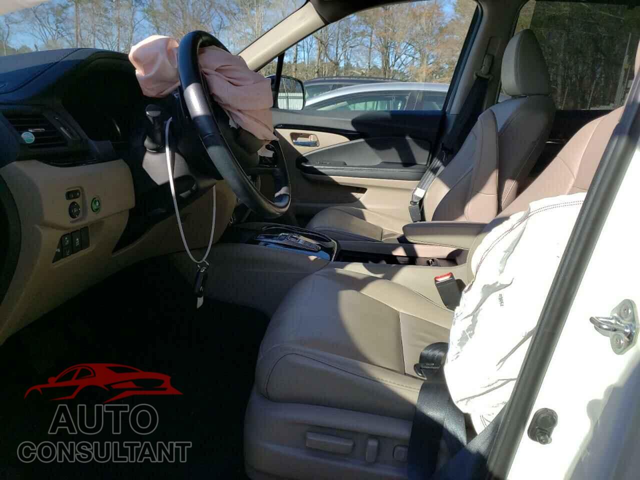 HONDA PILOT 2019 - 5FNYF5H66KB005702