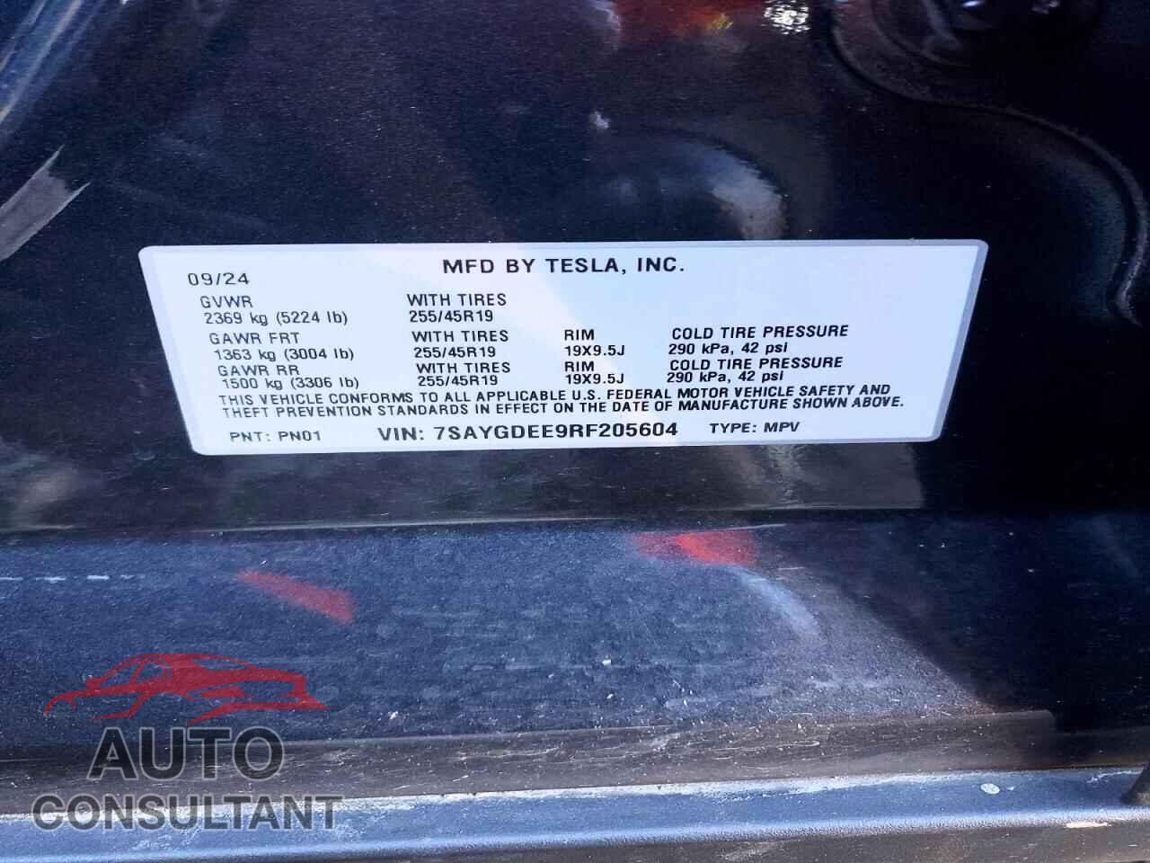 TESLA MODEL Y 2024 - 7SAYGDEE9RF205604