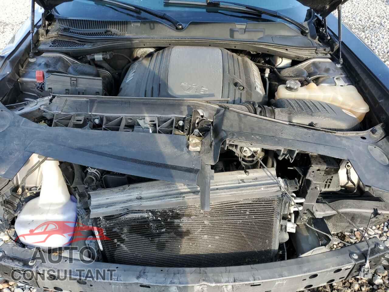 DODGE CHALLENGER 2019 - 2C3CDZBT5KH573668