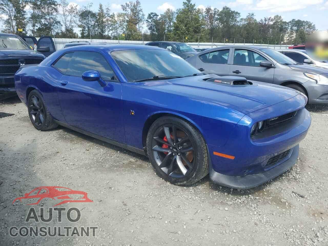 DODGE CHALLENGER 2019 - 2C3CDZFJXKH667716