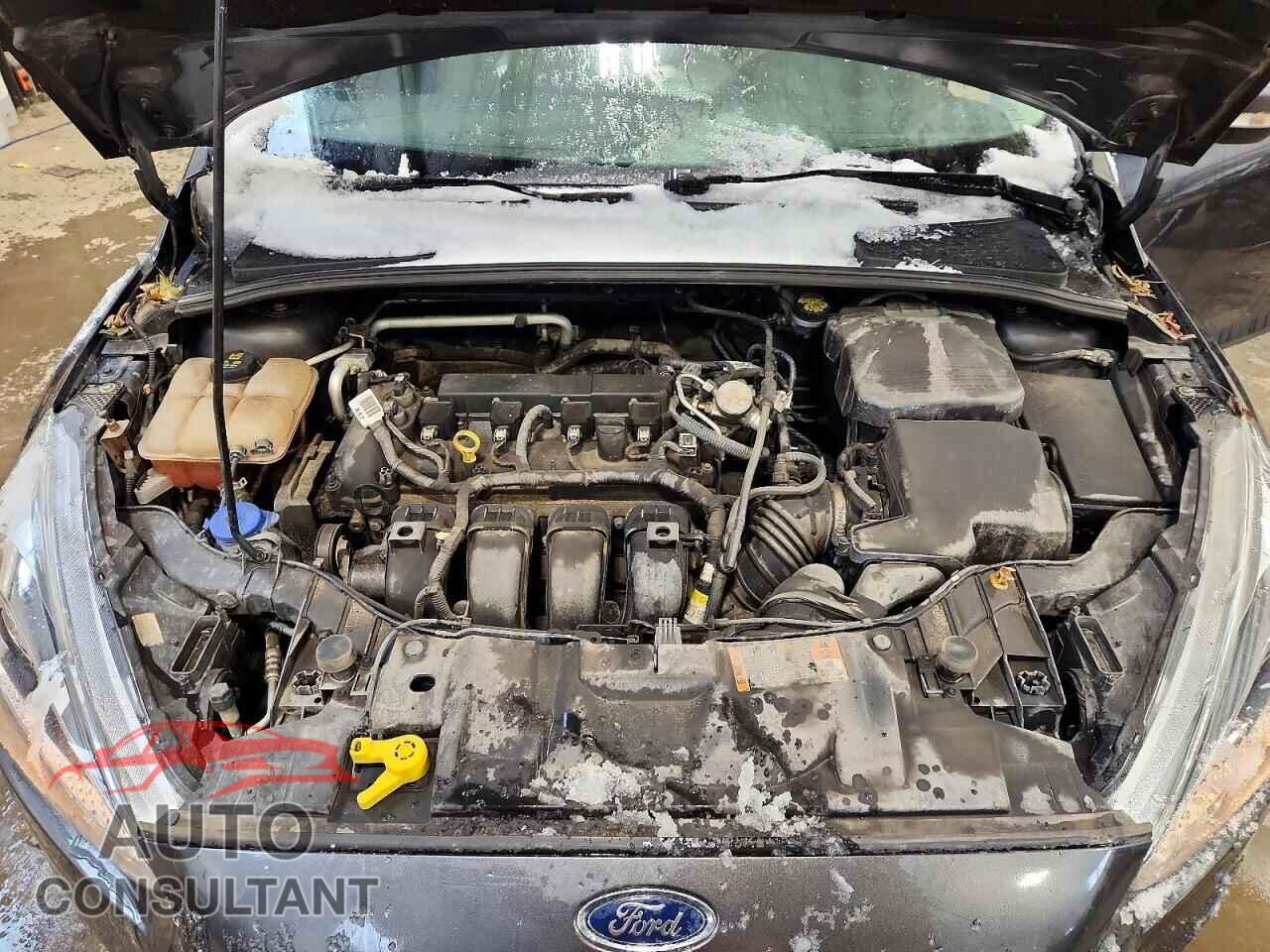 FORD FOCUS 2016 - 1FADP3K26GL334142