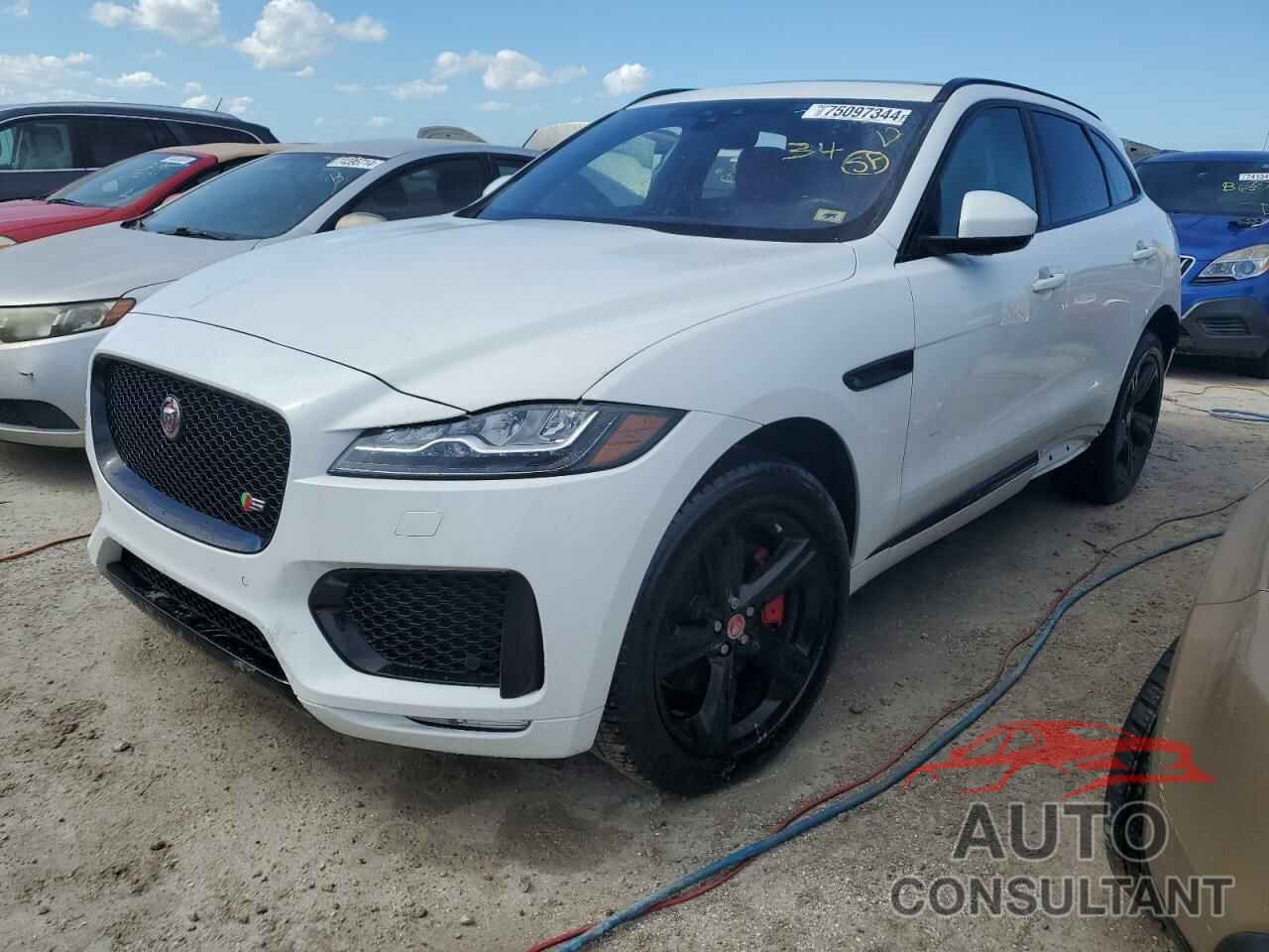 JAGUAR F-PACE 2019 - SADCM2FV3KA606295