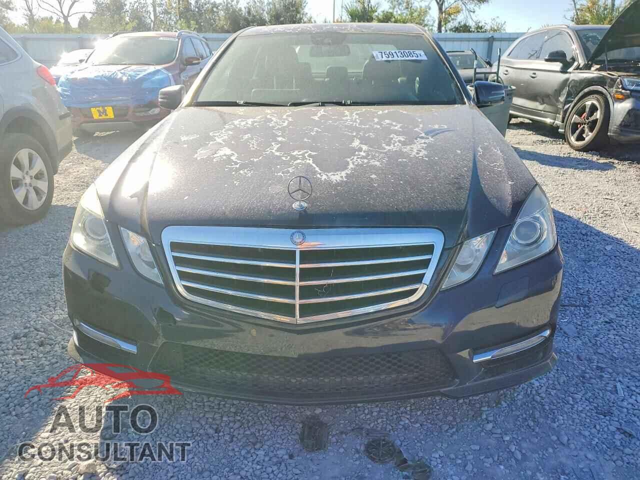 MERCEDES-BENZ E-CLASS 2012 - WDDHF5KB7CA569378