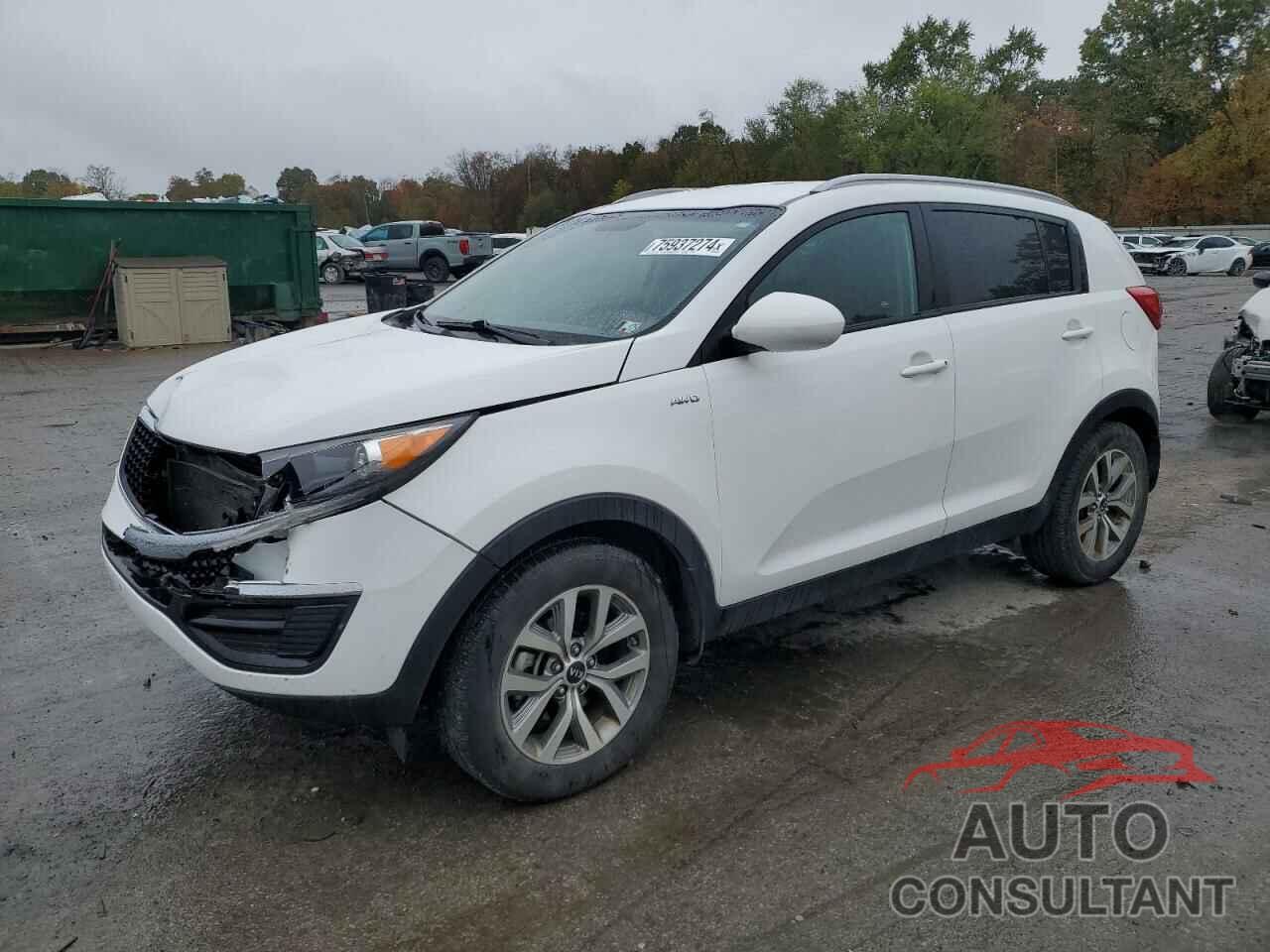 KIA SPORTAGE 2016 - KNDPBCAC9G7865229