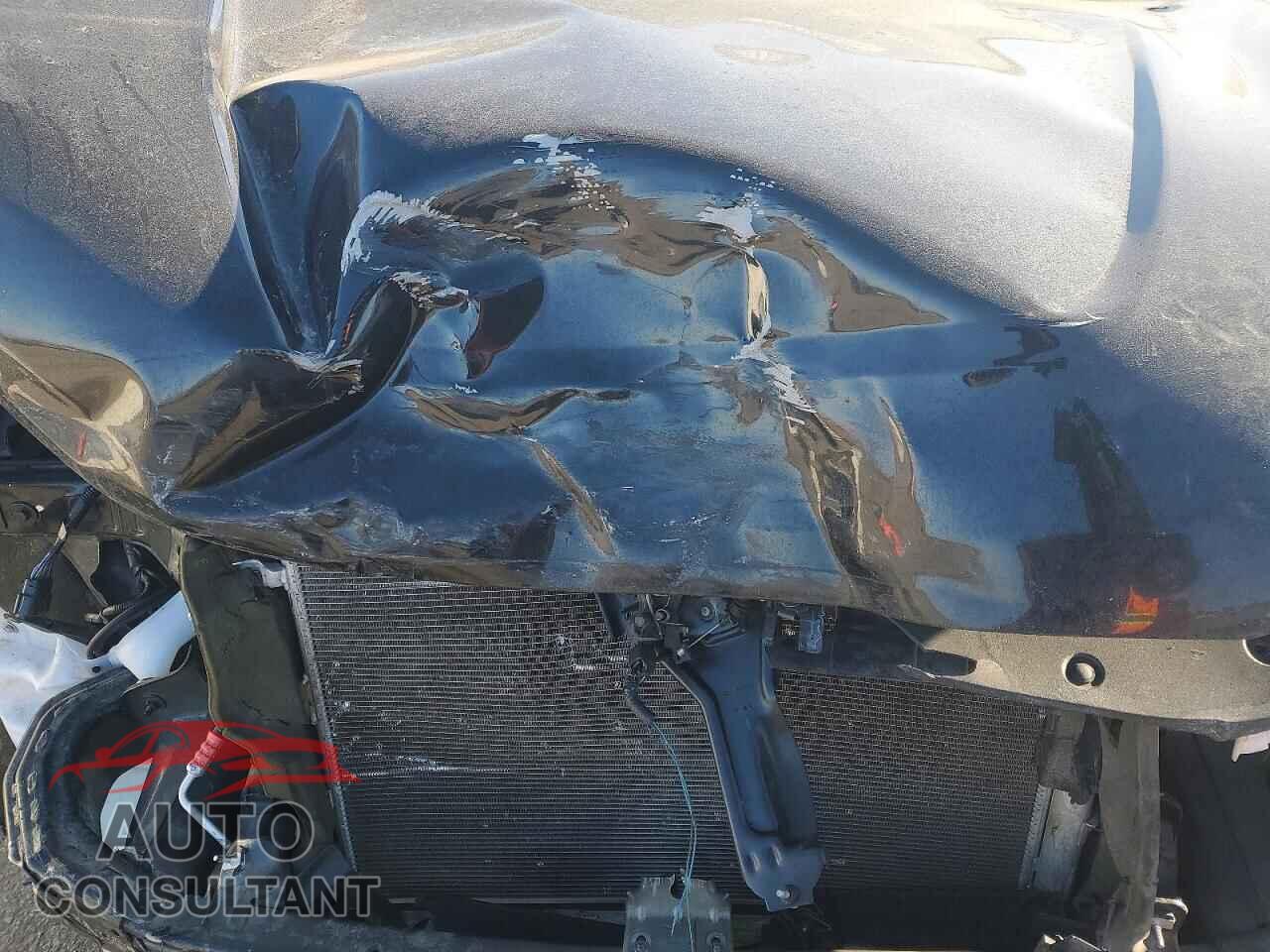 FORD EDGE 2022 - 2FMPK4J94NBA96696