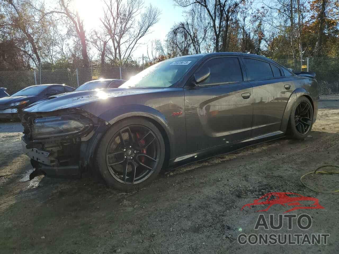 DODGE CHARGER 2020 - 2C3CDXGJ3LH230208