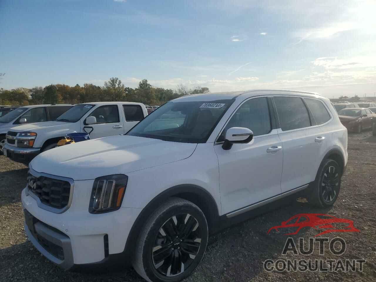 KIA TELLURIDE 2023 - 5XYP5DGC7PG329497