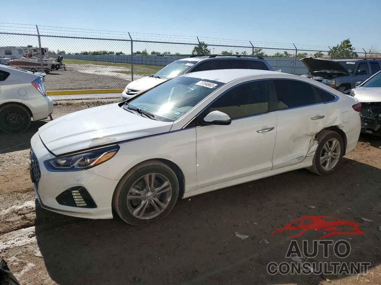 HYUNDAI SONATA 2019 - 5NPE34AF6KH759023