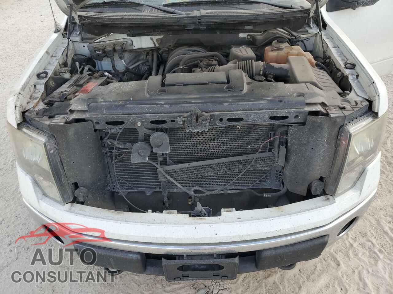 FORD F-150 2010 - 1FTEX1E83AKB85477