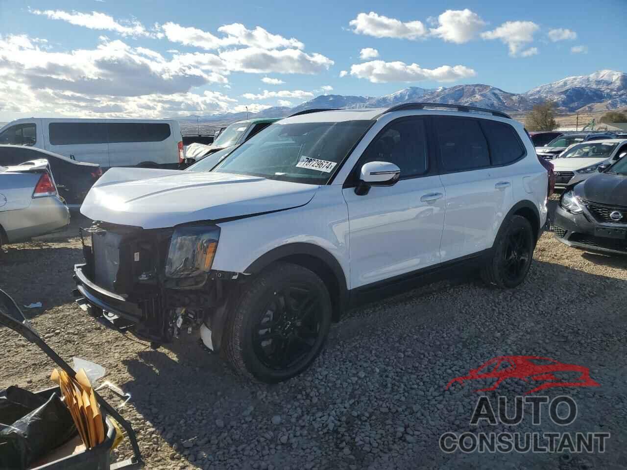 KIA TELLURIDE 2024 - 5XYP5DGC7RG551637