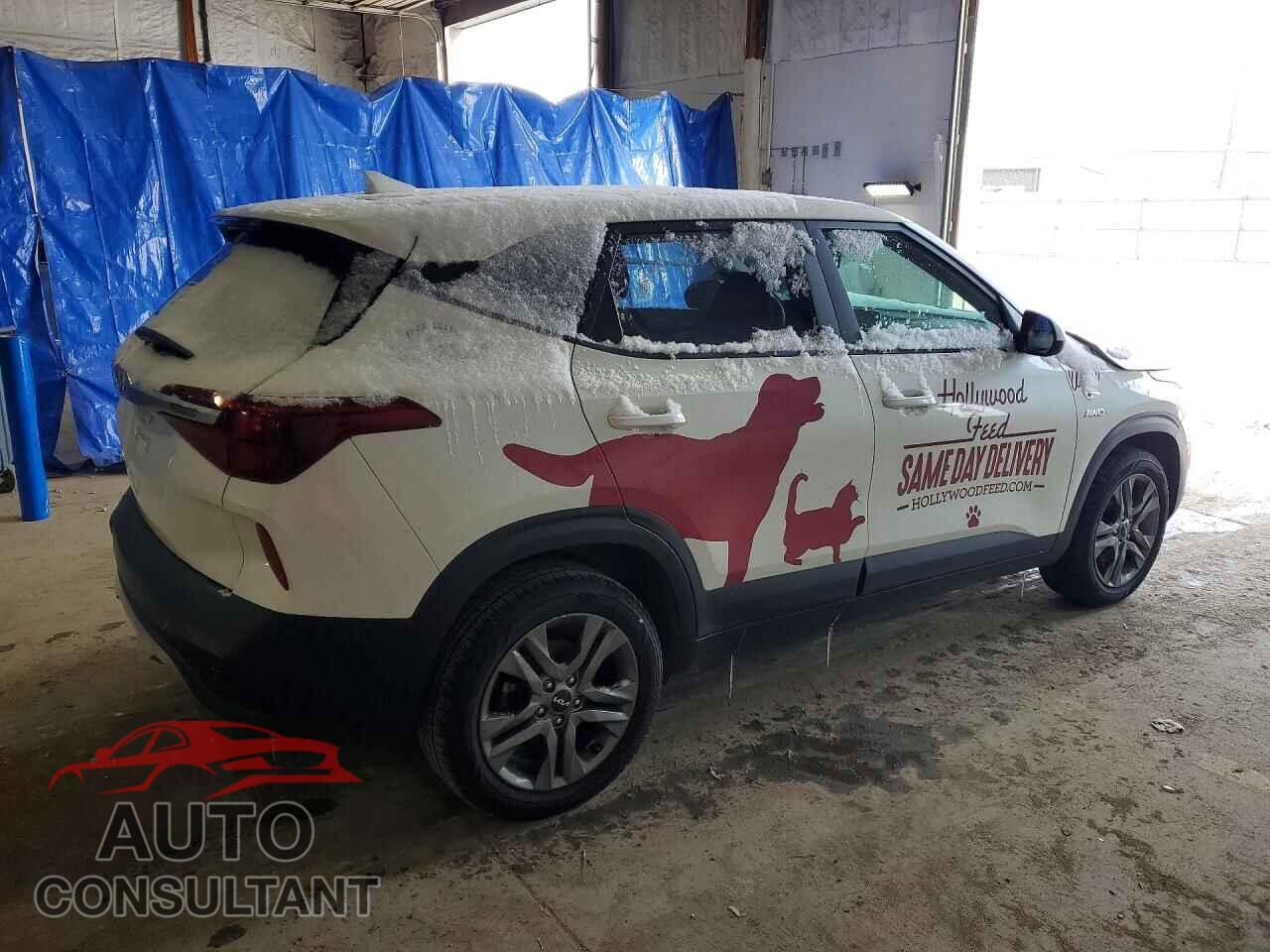 KIA SELTOS 2022 - KNDEPCAA8N7287869