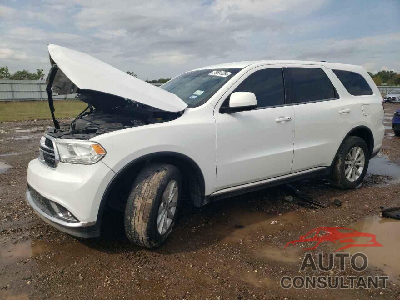 DODGE DURANGO 2019 - 1C4RDJAG7KC585397