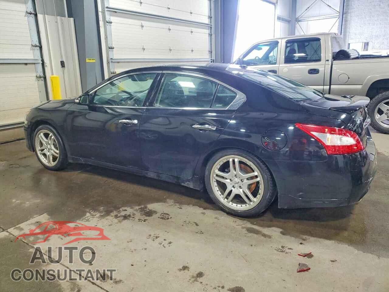 NISSAN MAXIMA 2011 - 1N4AA5AP0BC841401