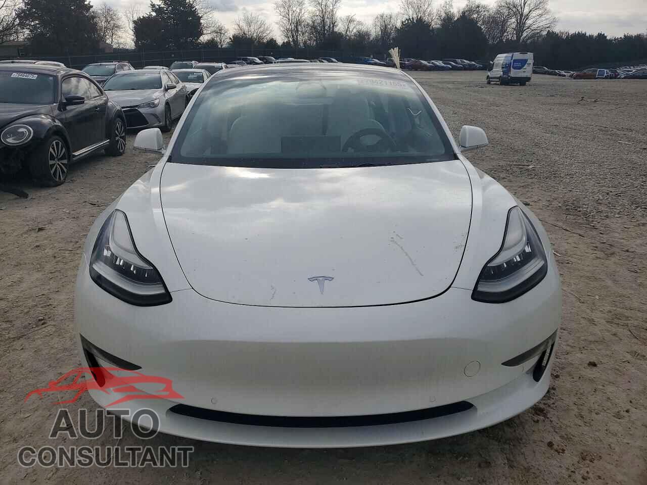 TESLA MODEL 3 2019 - 5YJ3E1EB4KF454996