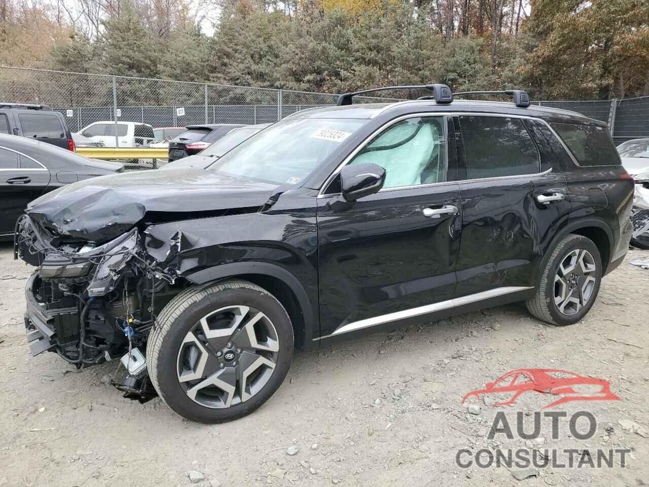HYUNDAI PALISADE 2024 - KM8R54GE9RU680063