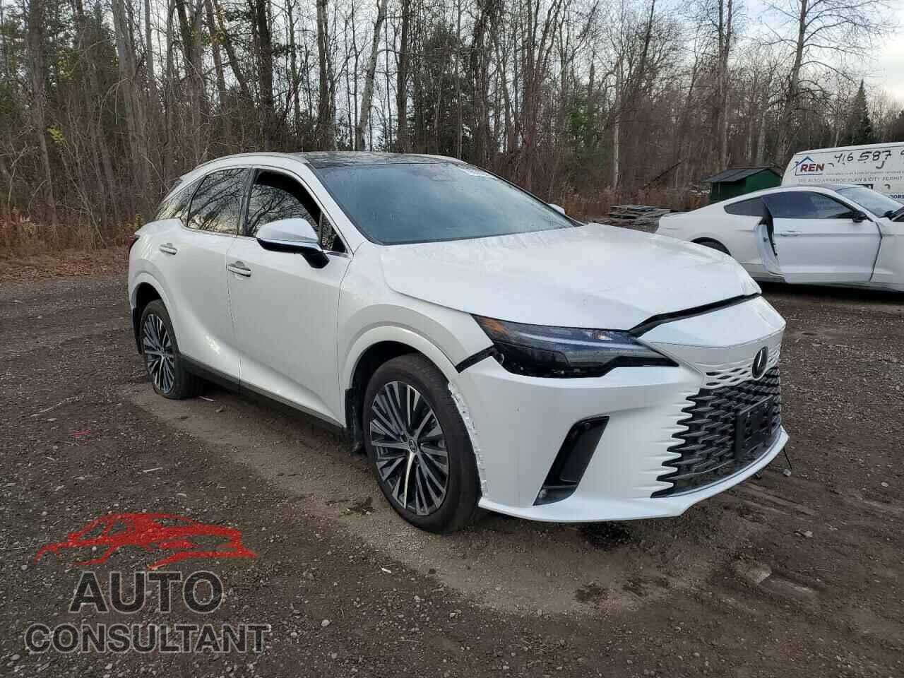 LEXUS RX 350H BA 2024 - 2T2BBMCA9RC036864