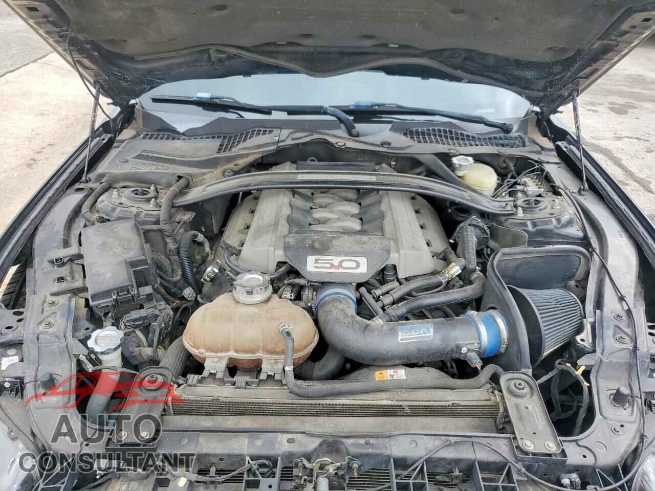 FORD MUSTANG 2015 - 1FA6P8CF8F5367606