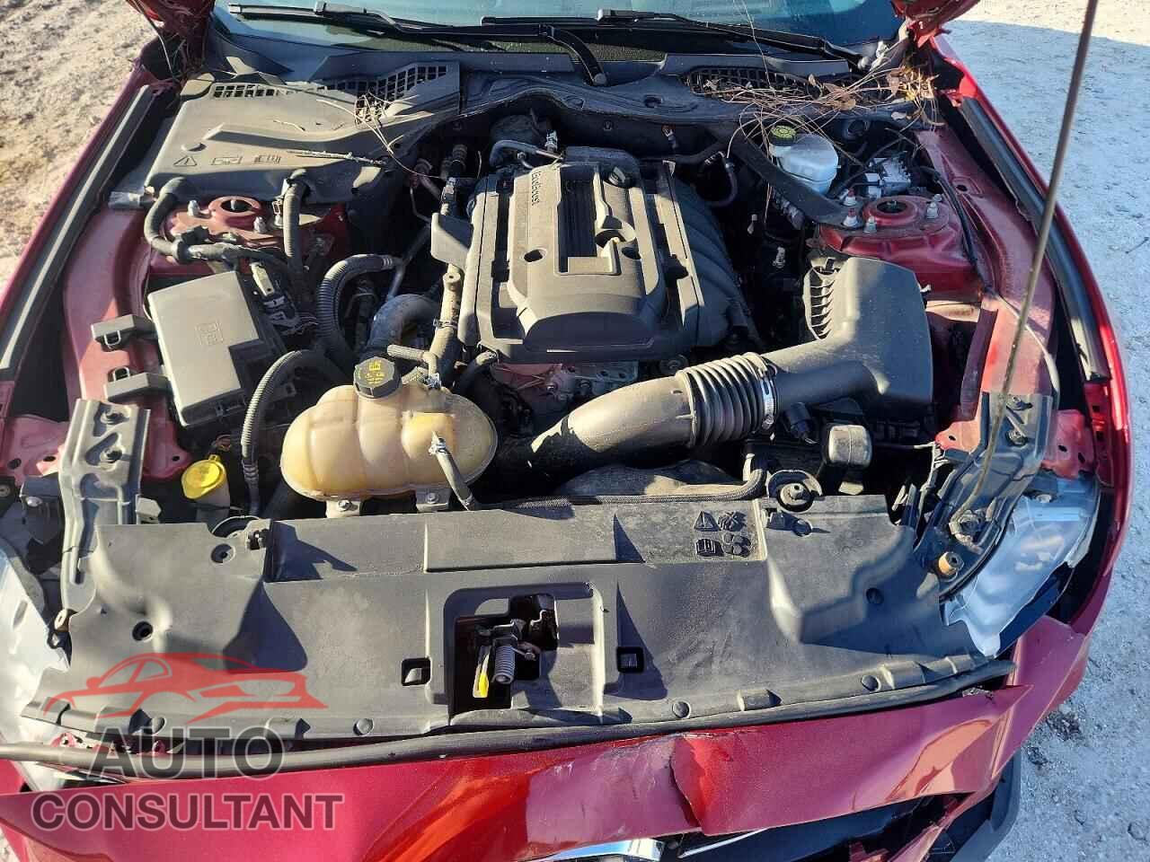 FORD MUSTANG 2019 - 1FATP8UH2K5160903