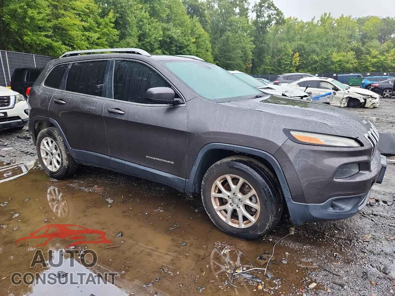 JEEP CHEROKEE 2014 - 1C4PJMCS2EW147201