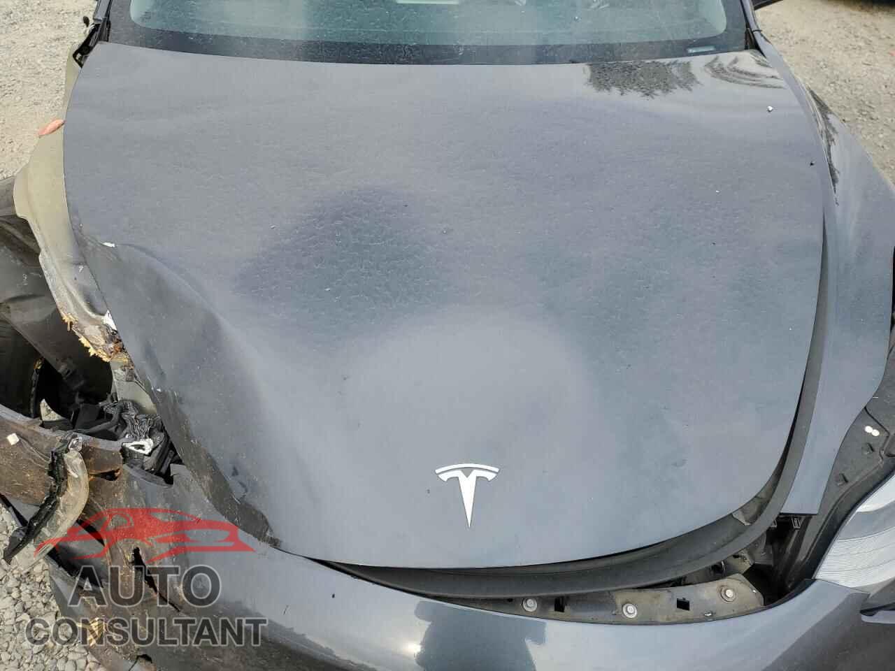 TESLA MODEL 3 2021 - 5YJ3E1EA8MF097462