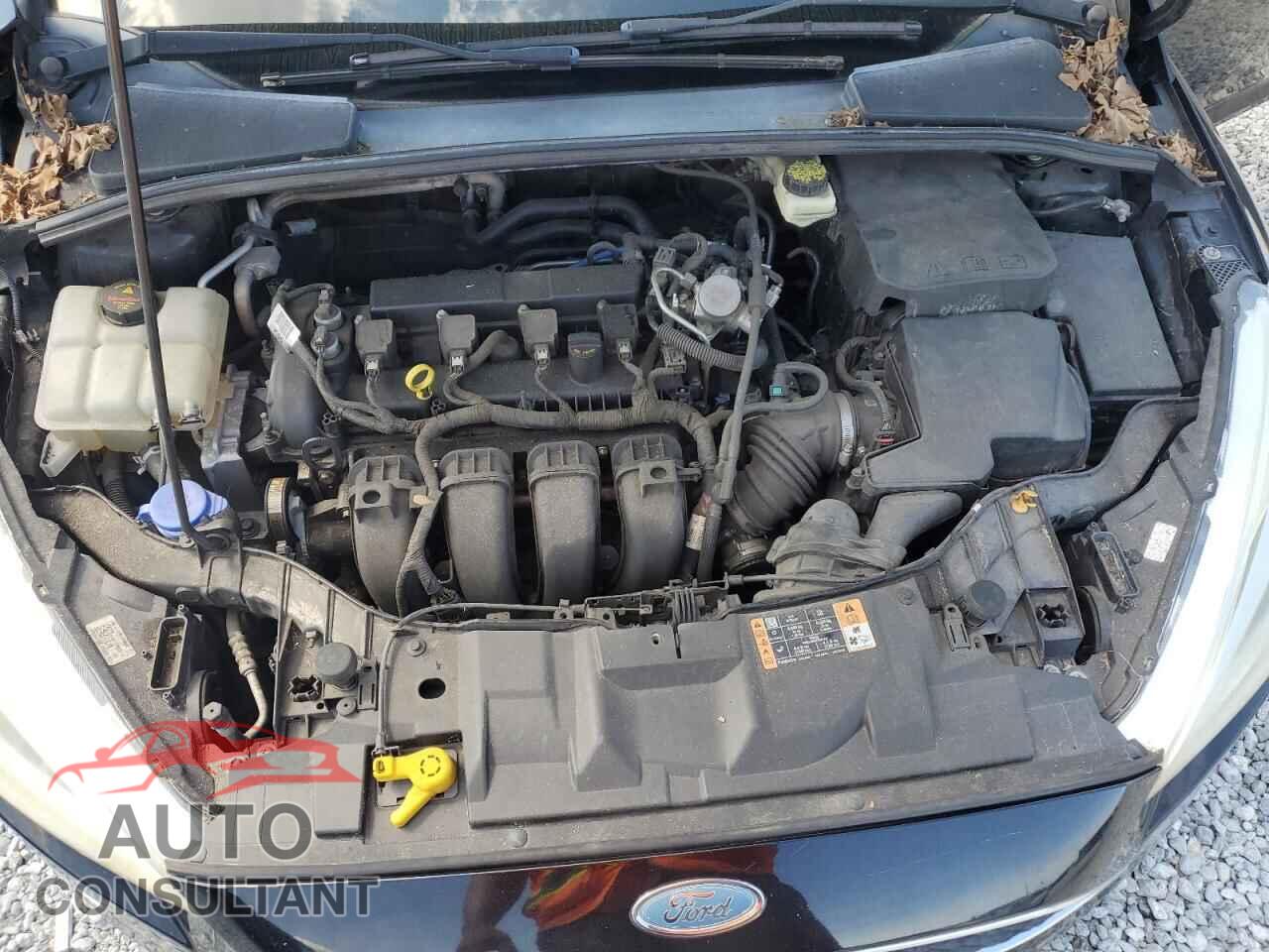 FORD FOCUS 2017 - 1FADP3F2XHL226151