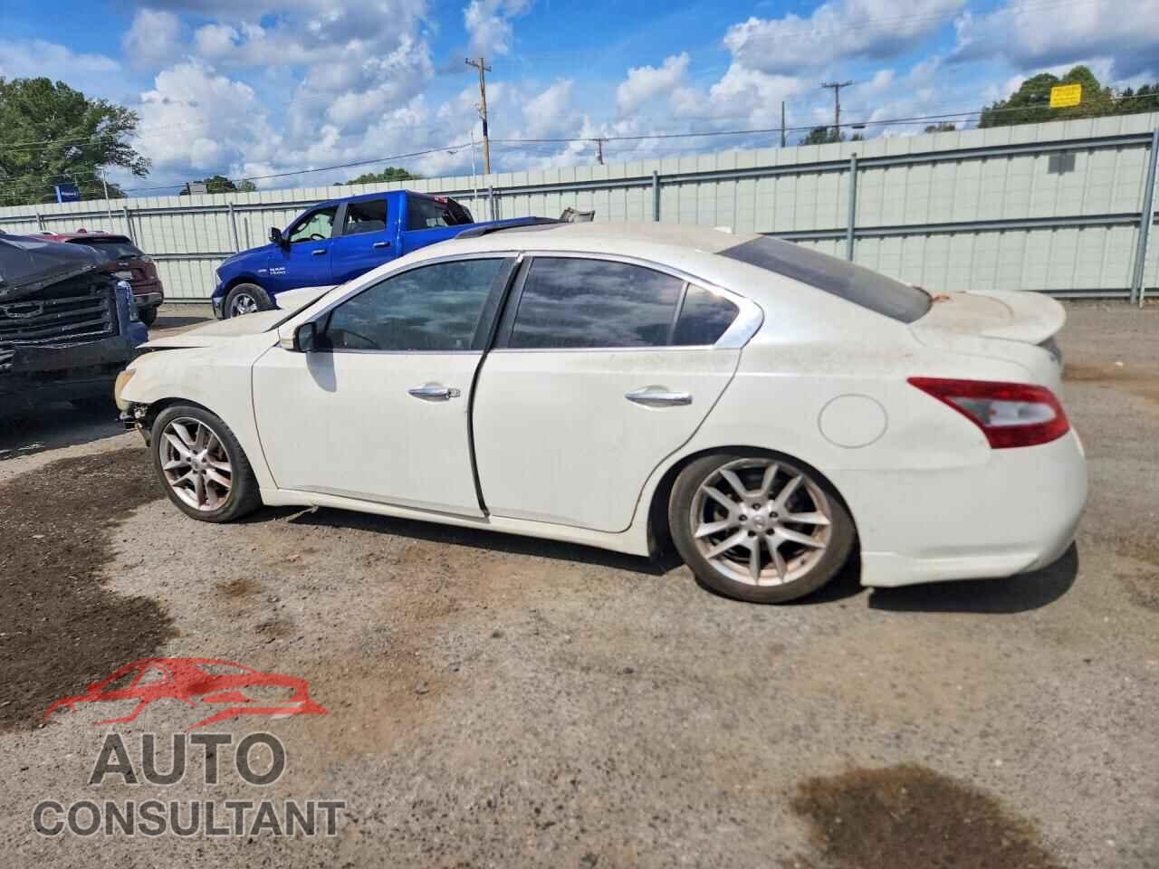 NISSAN MAXIMA 2011 - 1N4AA5AP8BC846622