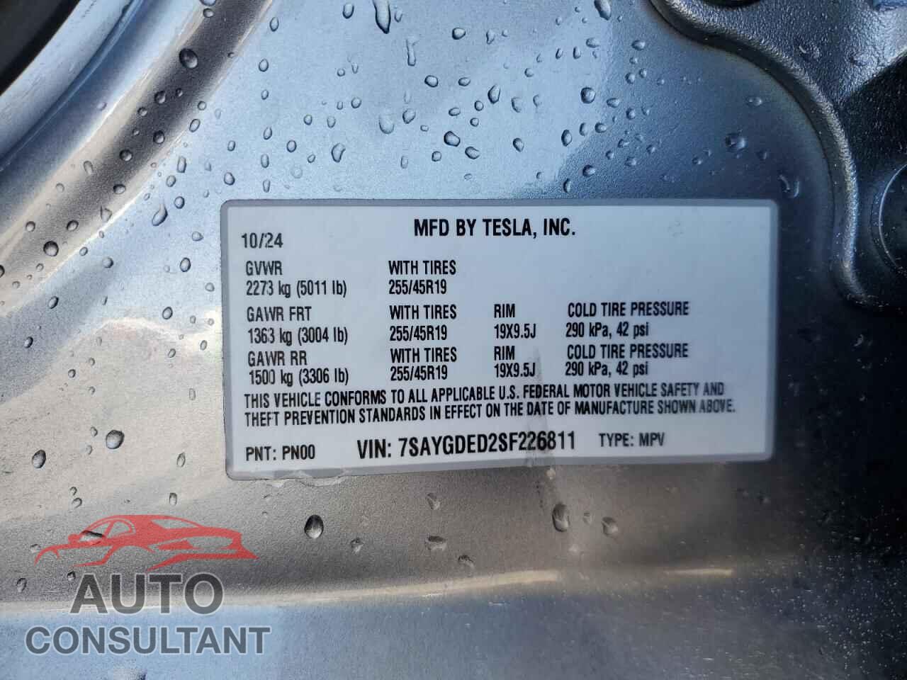 TESLA MODEL Y 2025 - 7SAYGDED2SF226811