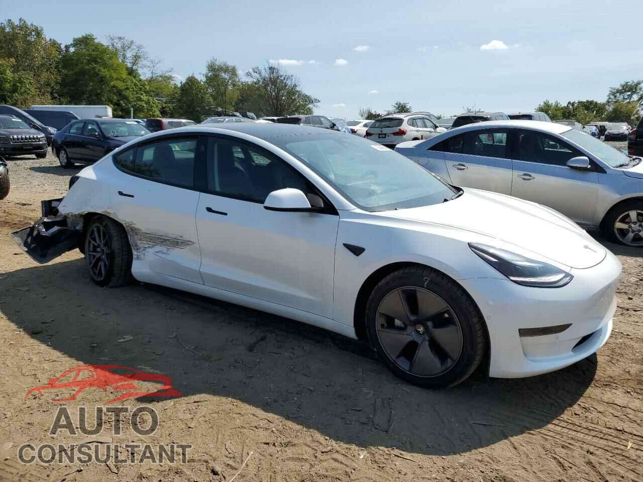 TESLA MODEL 3 2021 - 5YJ3E1EA2MF027889