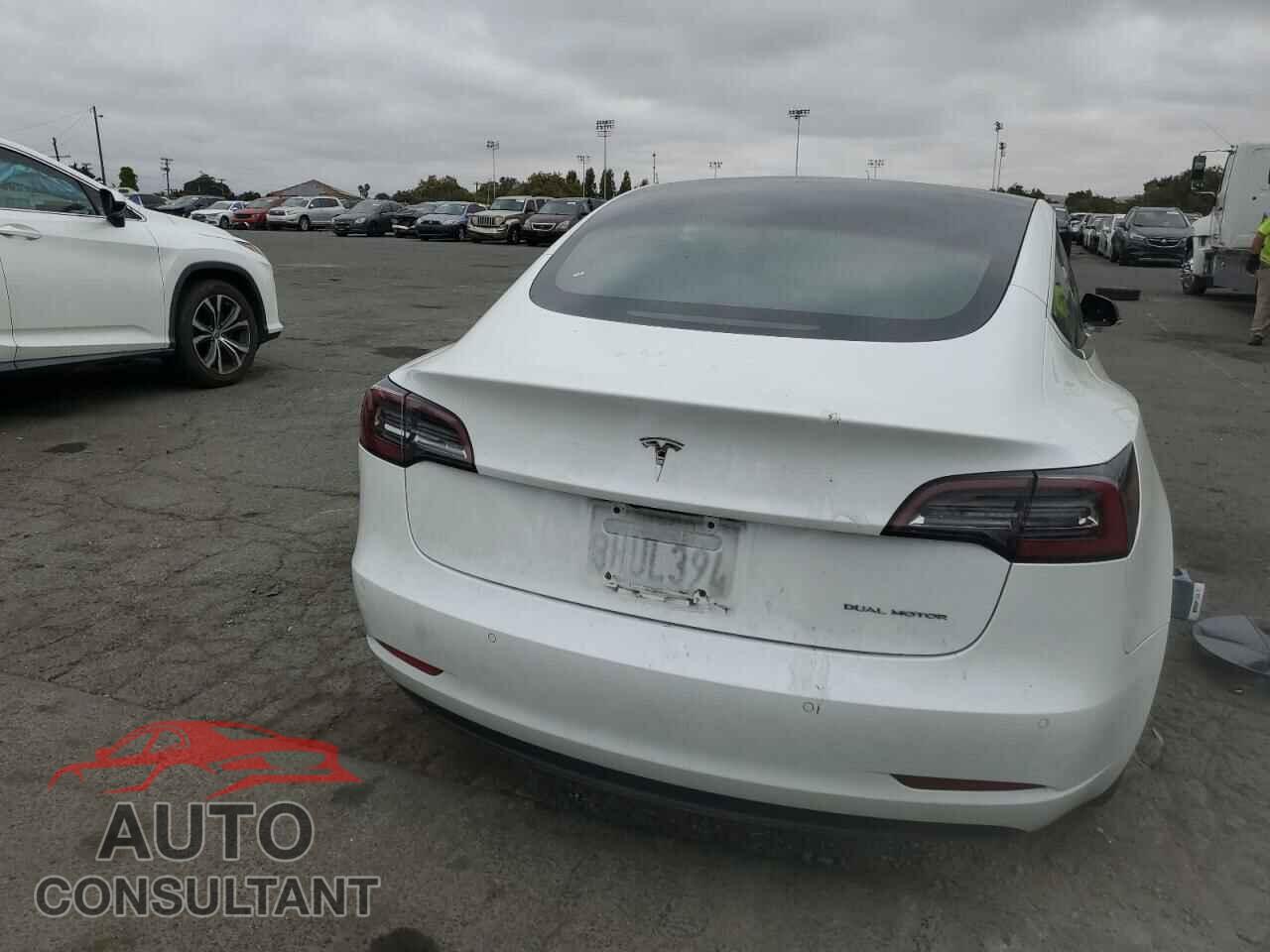 TESLA MODEL 3 2018 - 5YJ3E1EBXJF179052