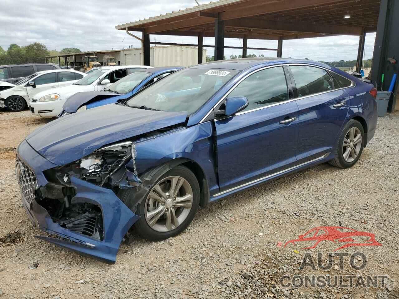 HYUNDAI SONATA 2019 - 5NPE34AF4KH793834
