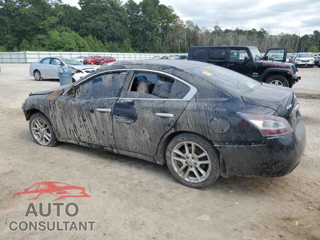 NISSAN MAXIMA 2013 - 1N4AA5AP8DC832111