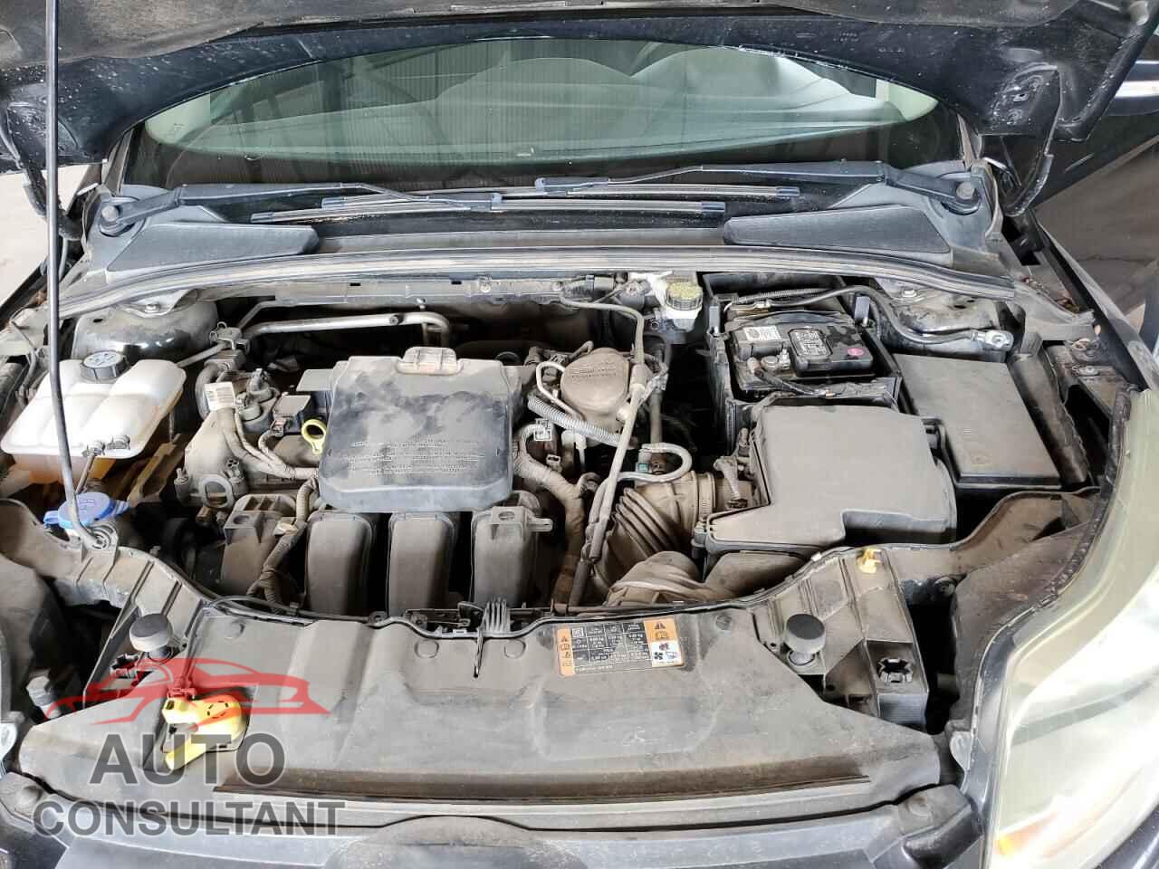 FORD FOCUS 2014 - 1FADP3K29EL431428