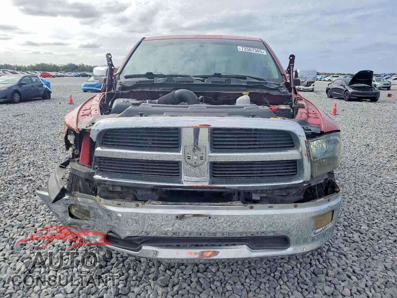 DODGE All Models 2010 - 1D7RB1GTXAS134789