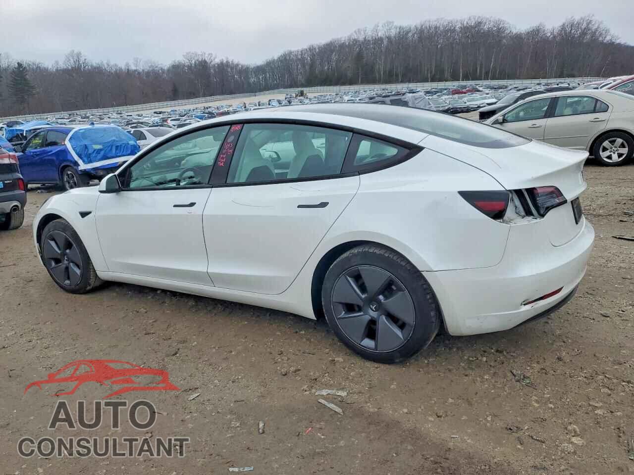 TESLA MODEL 3 2023 - 5YJ3E1EA7PF507446