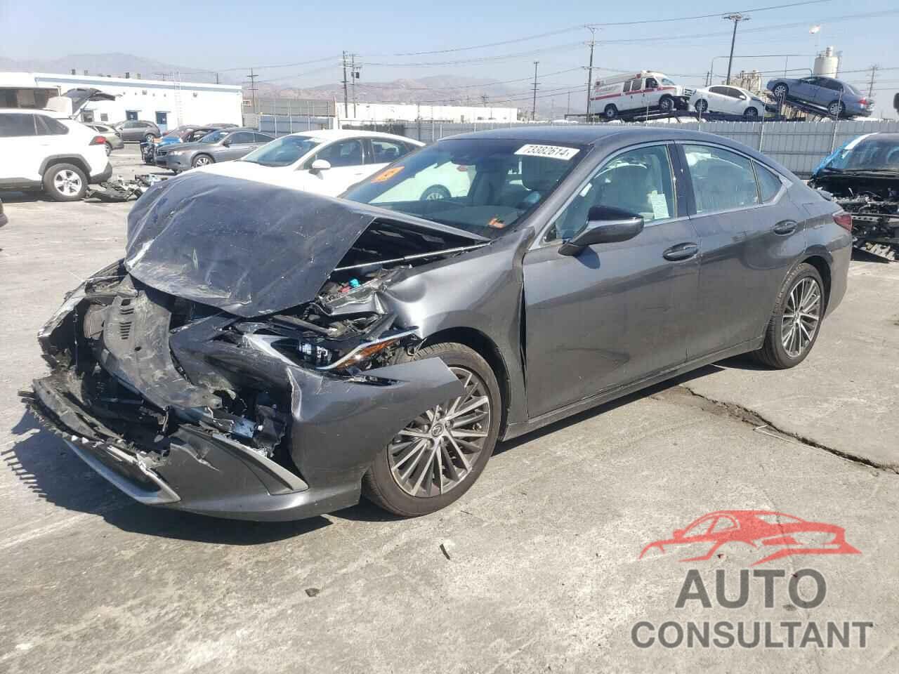 LEXUS ES300 2024 - 58ADA1C18RU040572