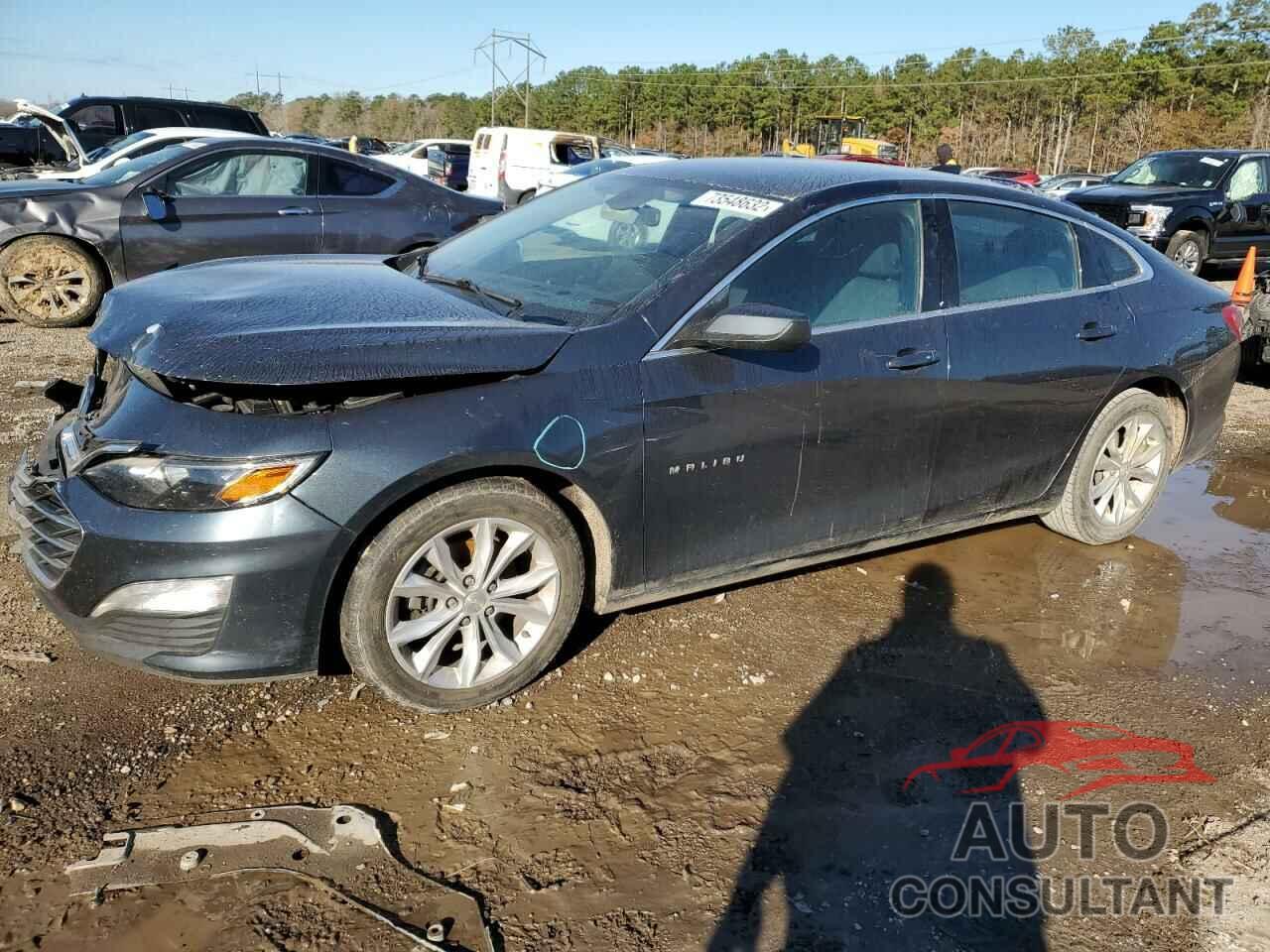 CHEVROLET MALIBU 2019 - 1G1ZD5ST7KF158991