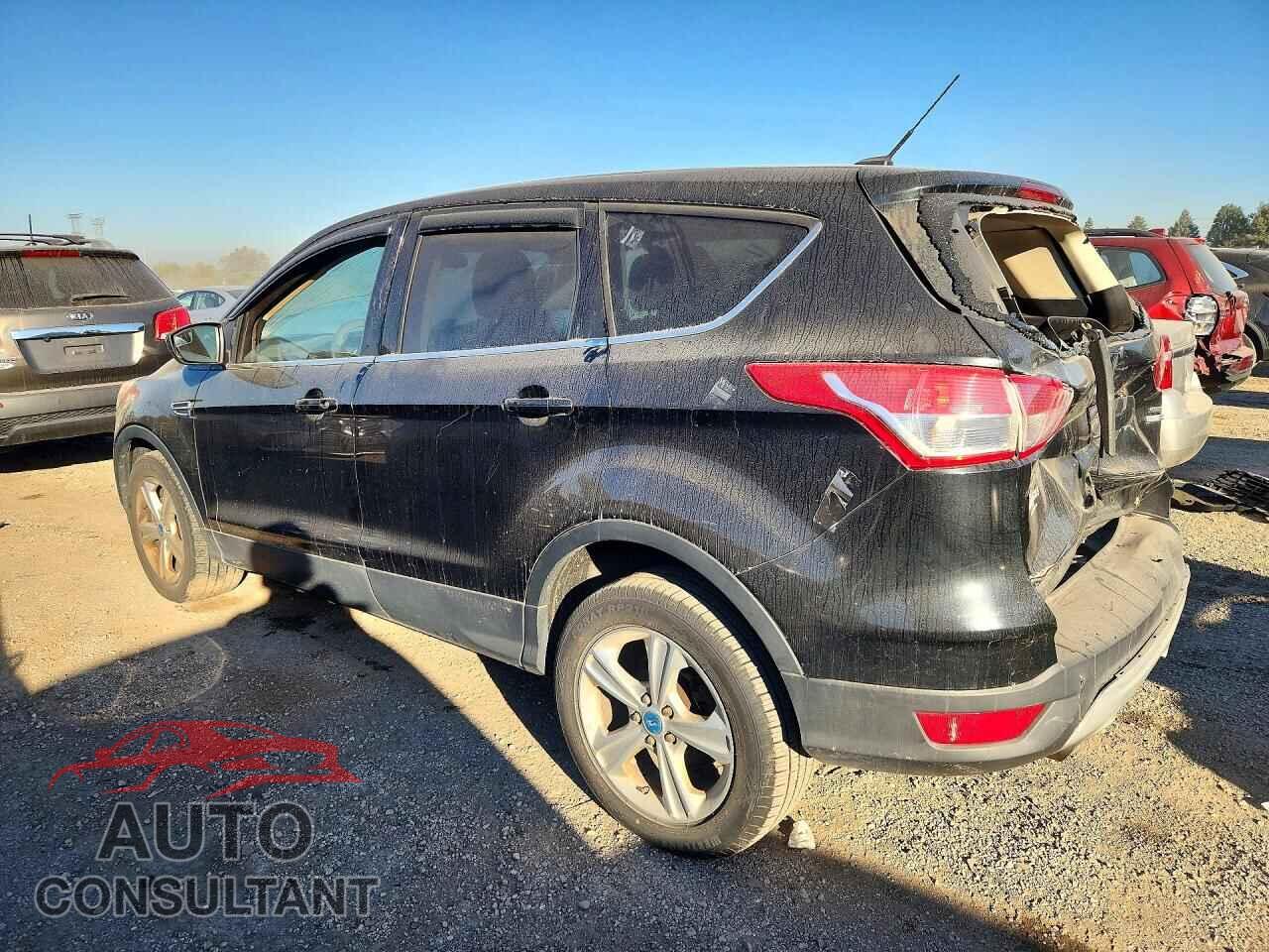 FORD ESCAPE 2014 - 1FMCU9G96EUA15575