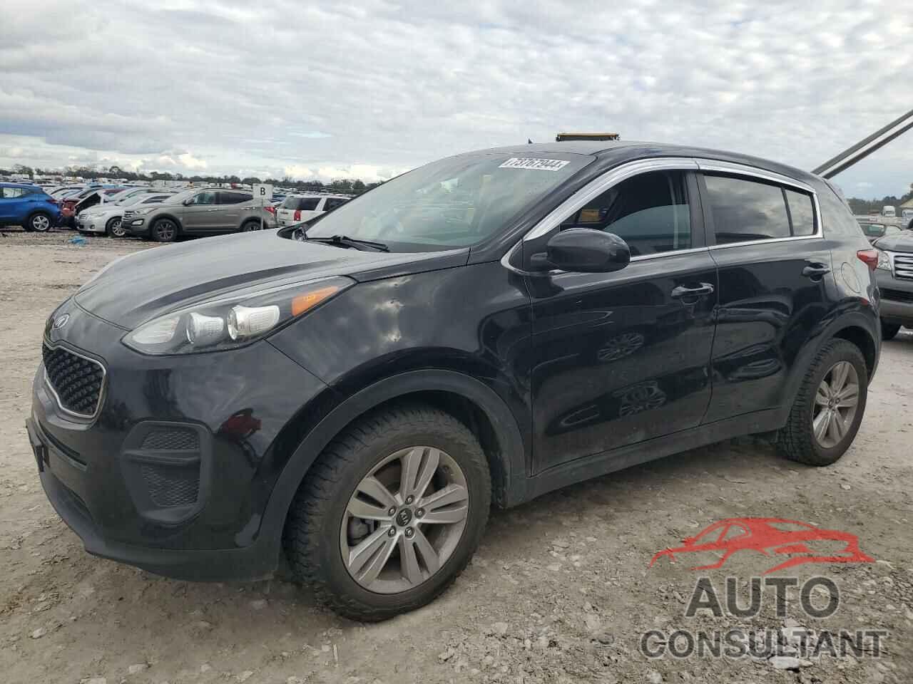 KIA SPORTAGE 2017 - KNDPM3AC6H7124127