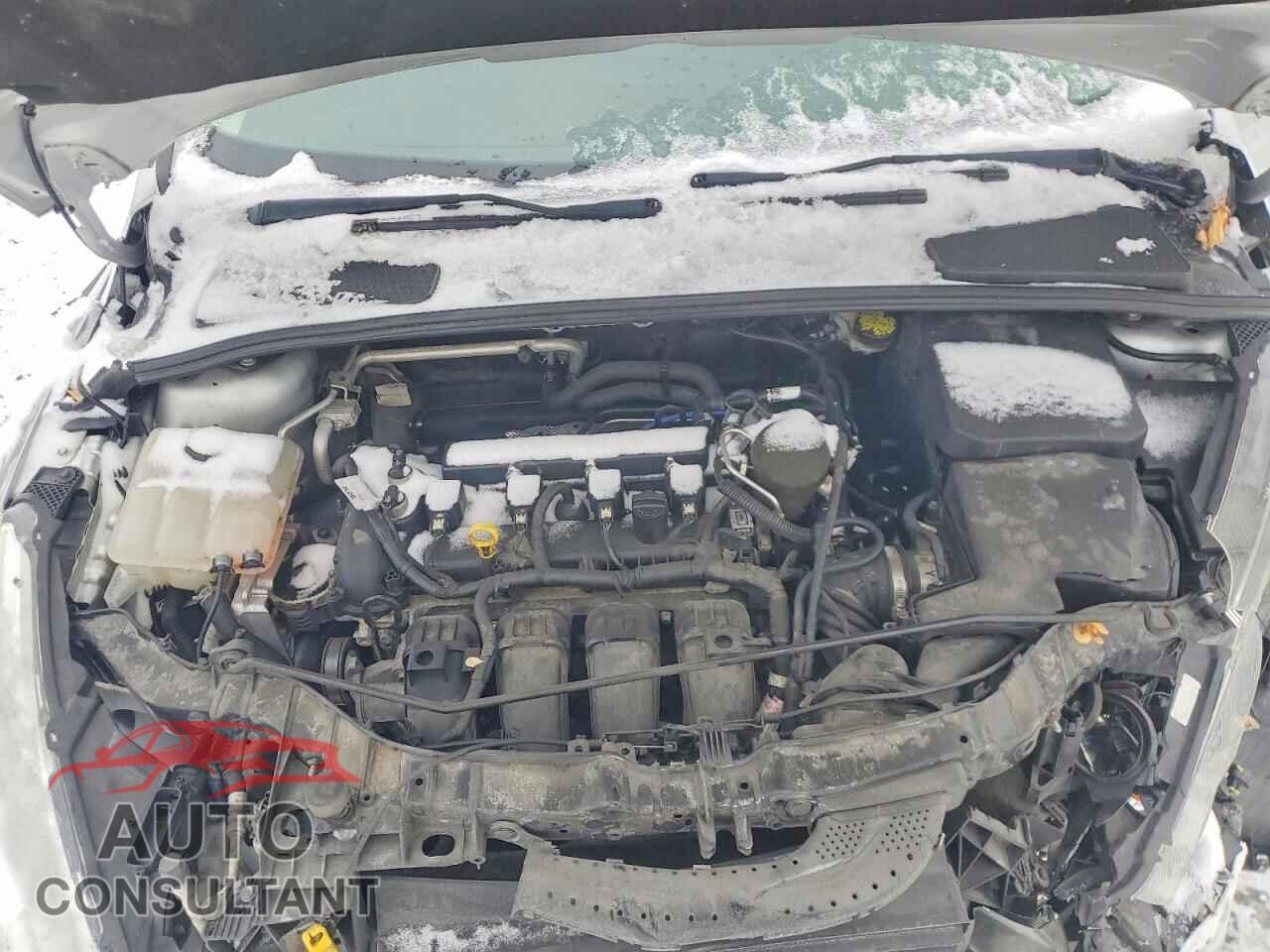 FORD FOCUS 2016 - 1FADP3F21GL288049