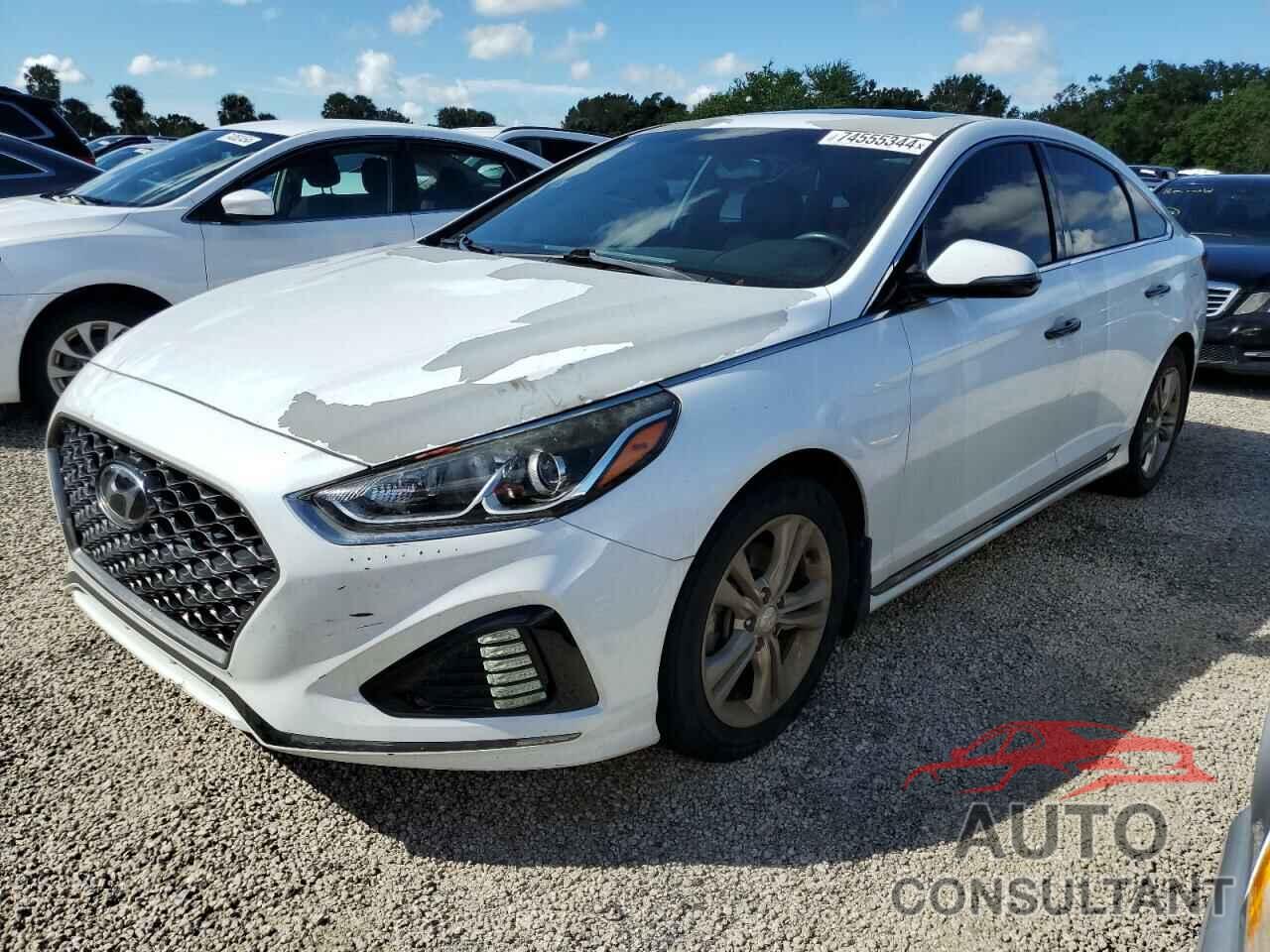 HYUNDAI SONATA 2019 - 5NPE34AF0KH738278