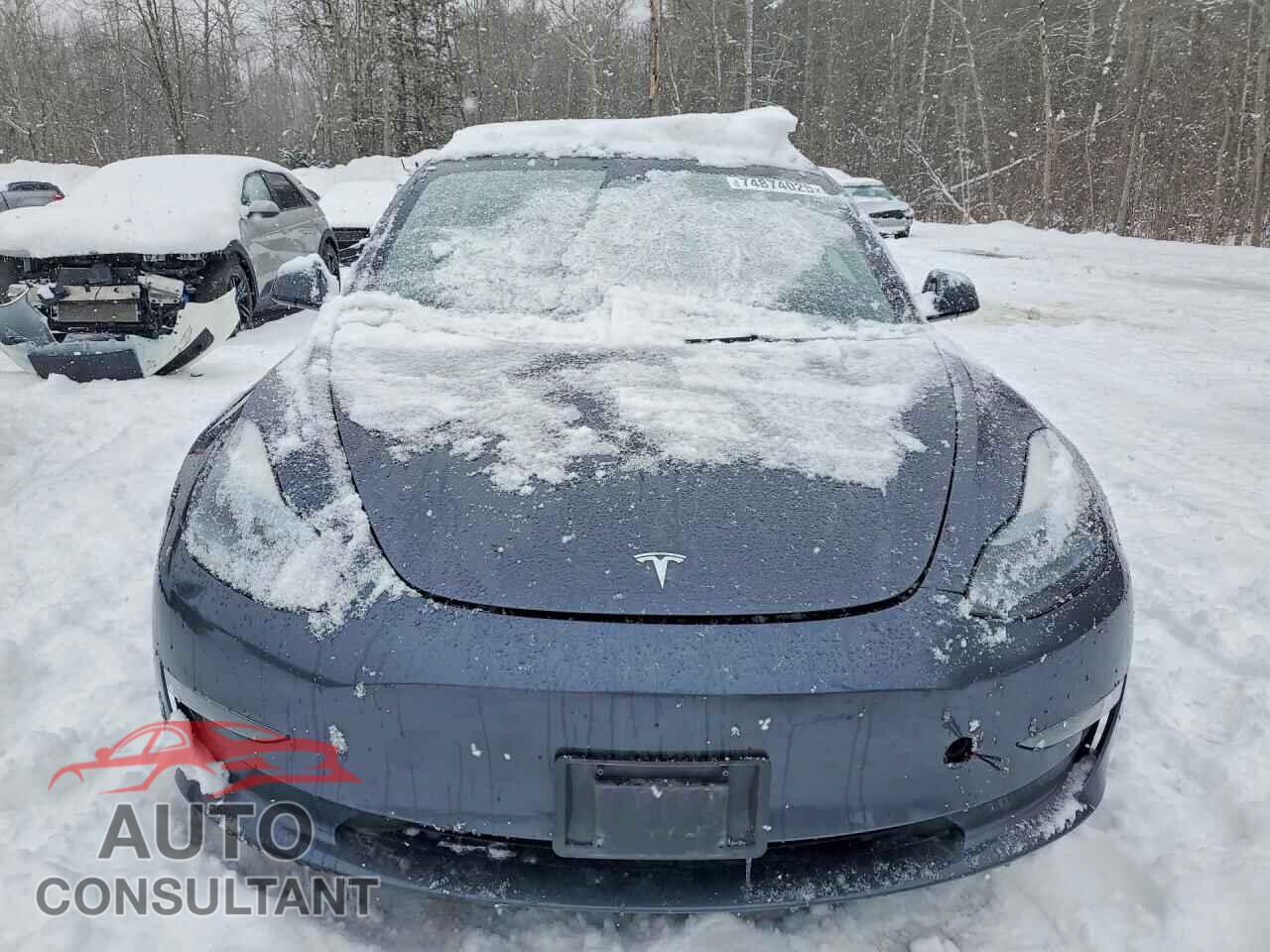 TESLA MODEL 3 2023 - LRW3E1FA0PC933780