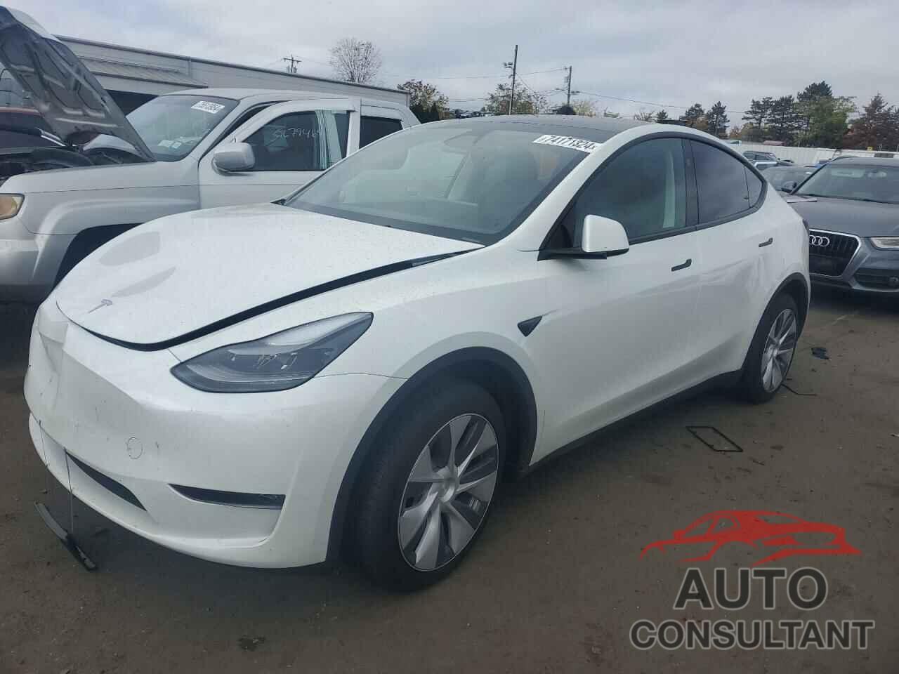 TESLA MODEL Y 2024 - 7SAYGAEE3RF060557