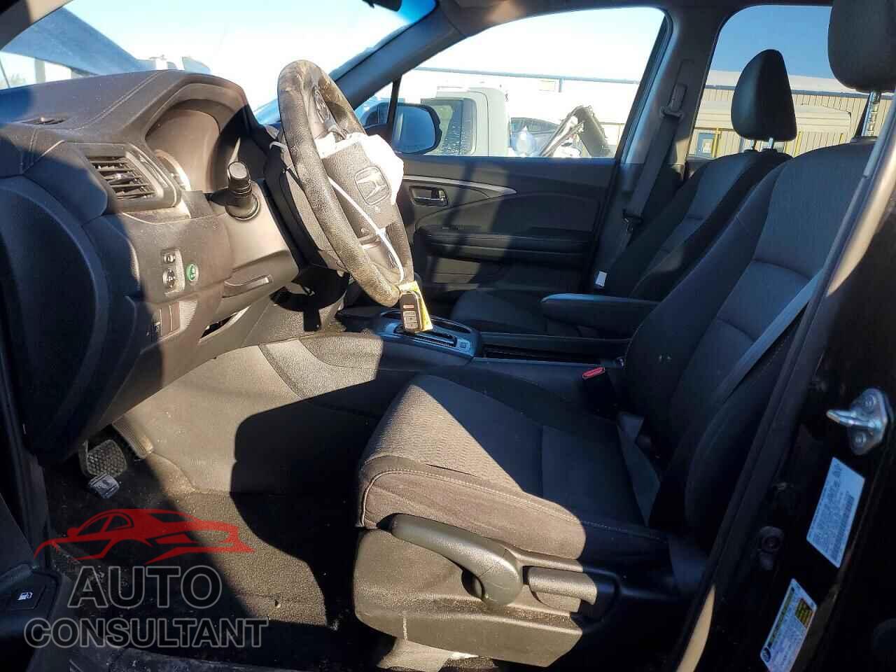 HONDA RIDGELINE 2019 - 5FPYK3F11KB037228