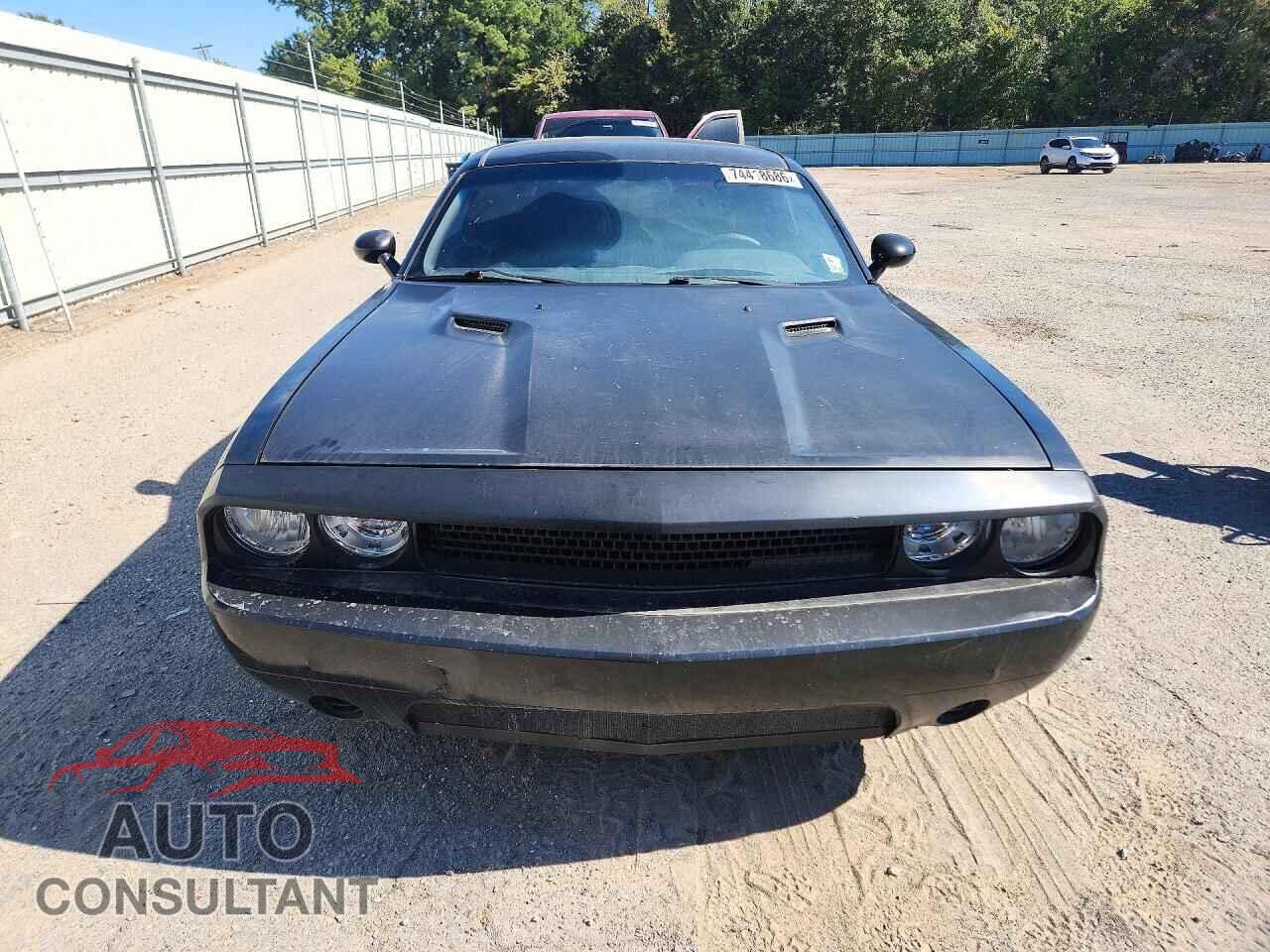 DODGE CHALLENGER 2014 - 2C3CDYAG4EH237075